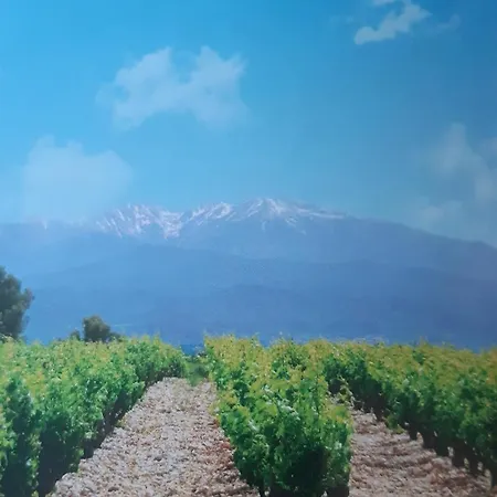 F2 Cozy Near Center And Train Station