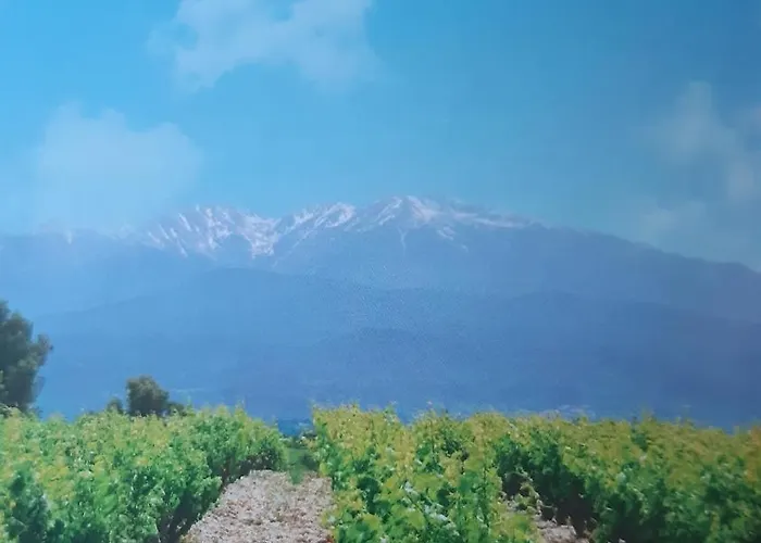 F2 Cozy Near Center&train Station