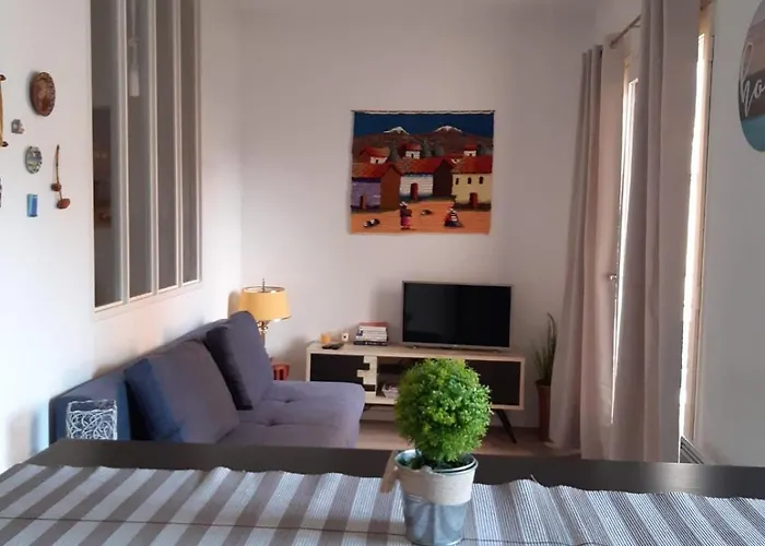 F2 Cozy Near Center&train Station Perpignan