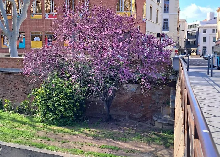 Apartament F2 Cozy Near Center&train Station